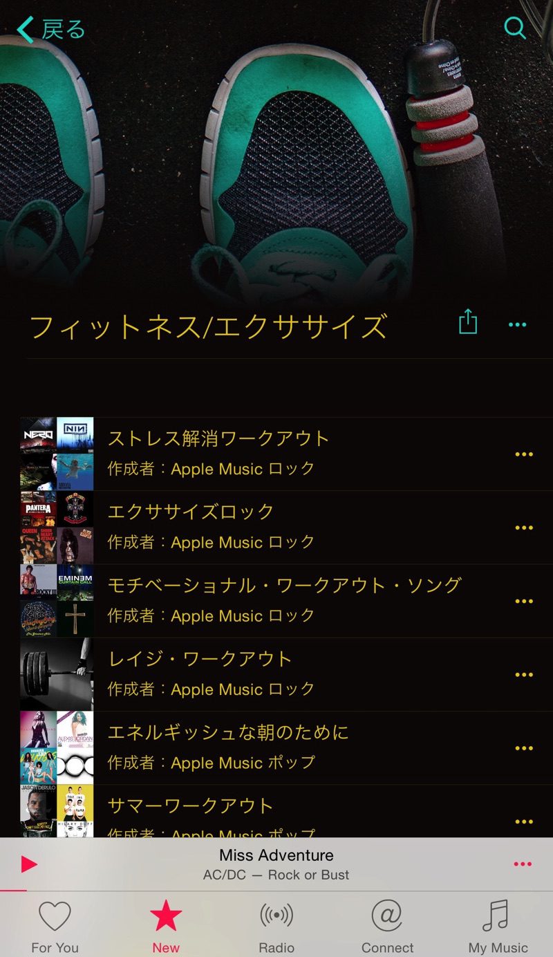 AppleMusic on iOS 04