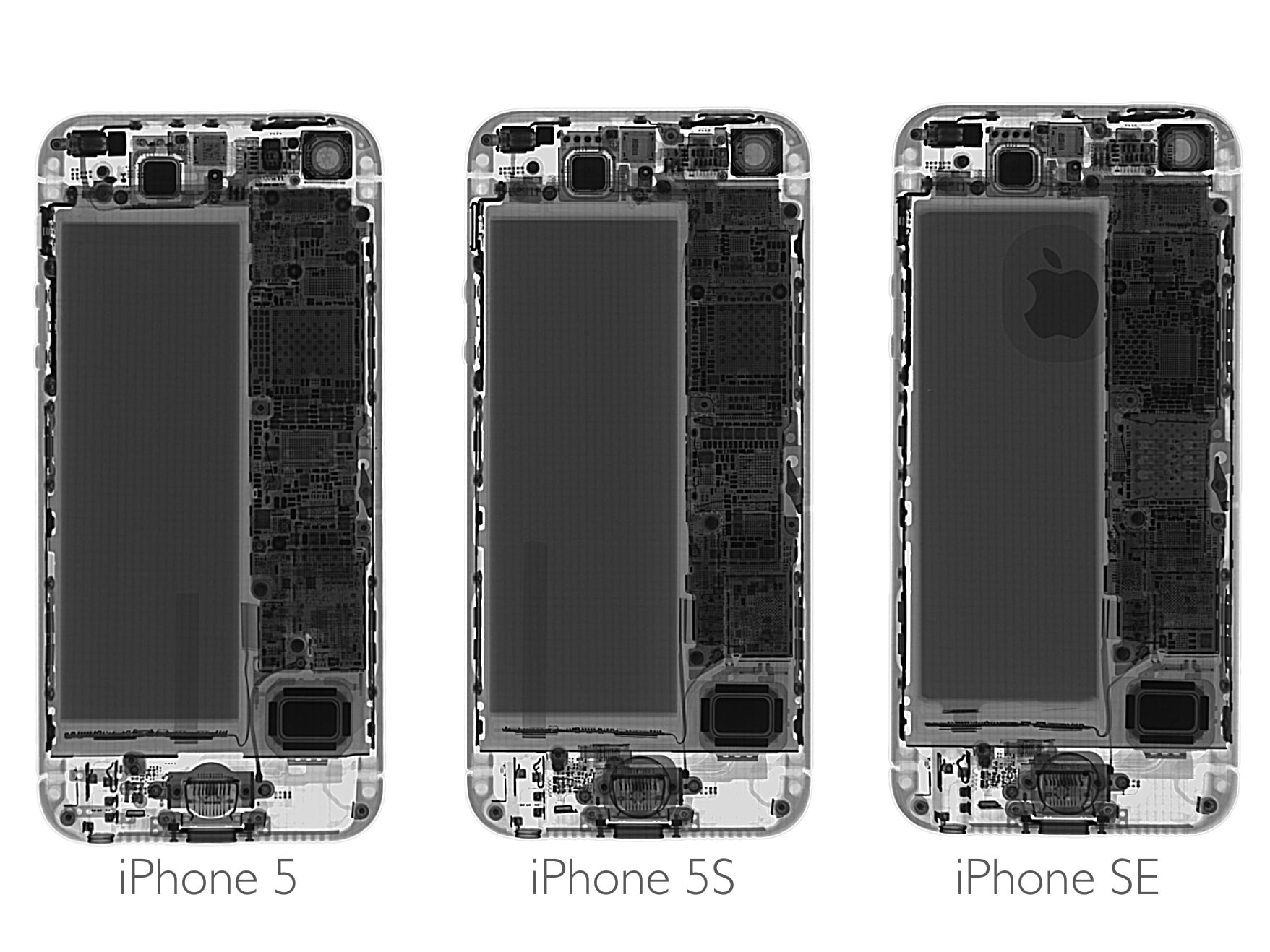 Iphone Se の分解レポ 設計は Iphone 5s と殆ど同じで素人でも