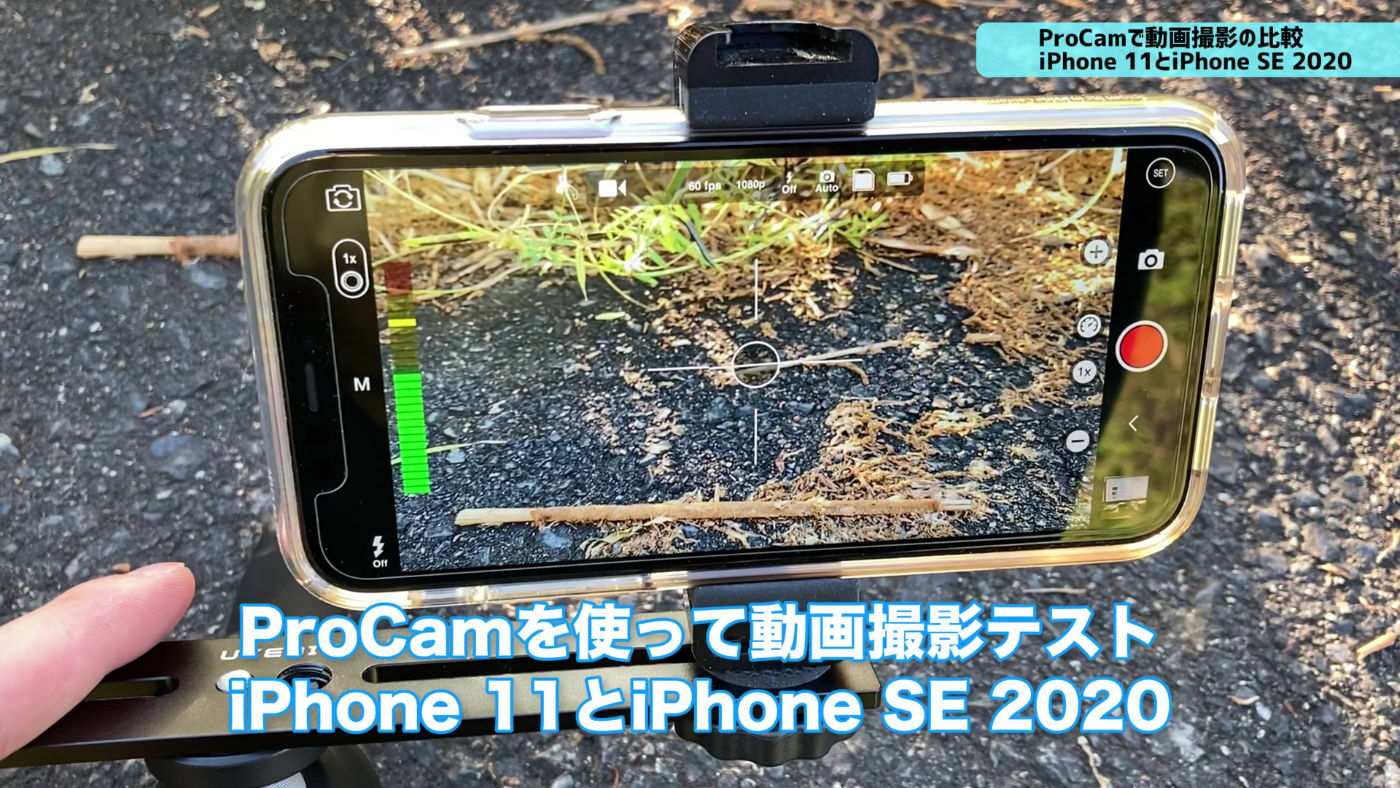 IPhoneSE2020 vs iPhone11 ProCam 03