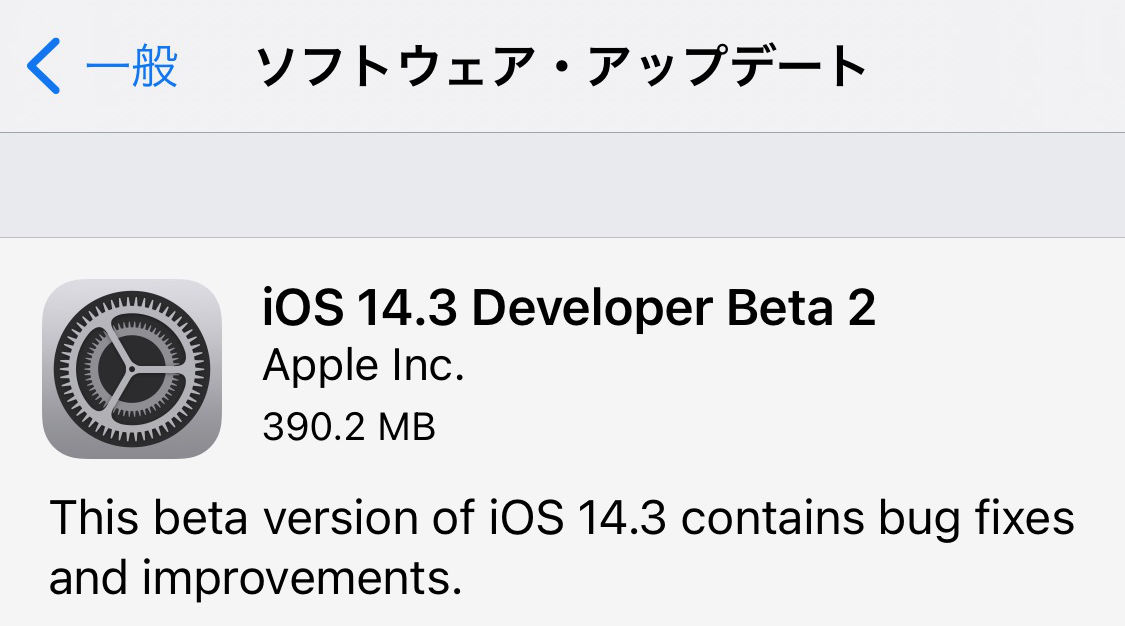 Ios14 3 beta2 iPhone12mini 02