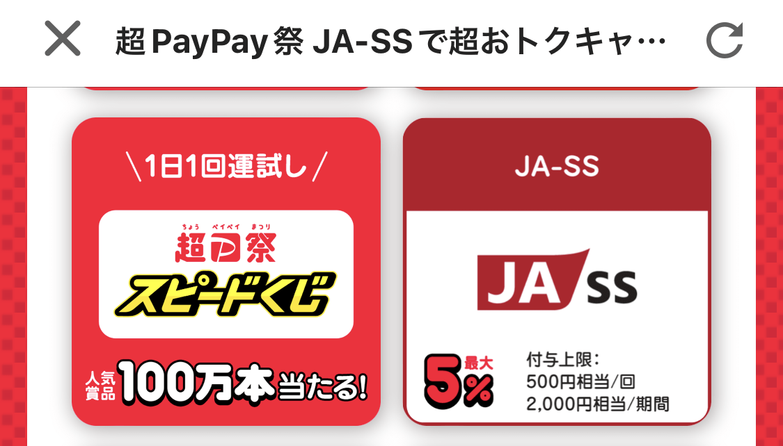 PayPayGSSS 02
