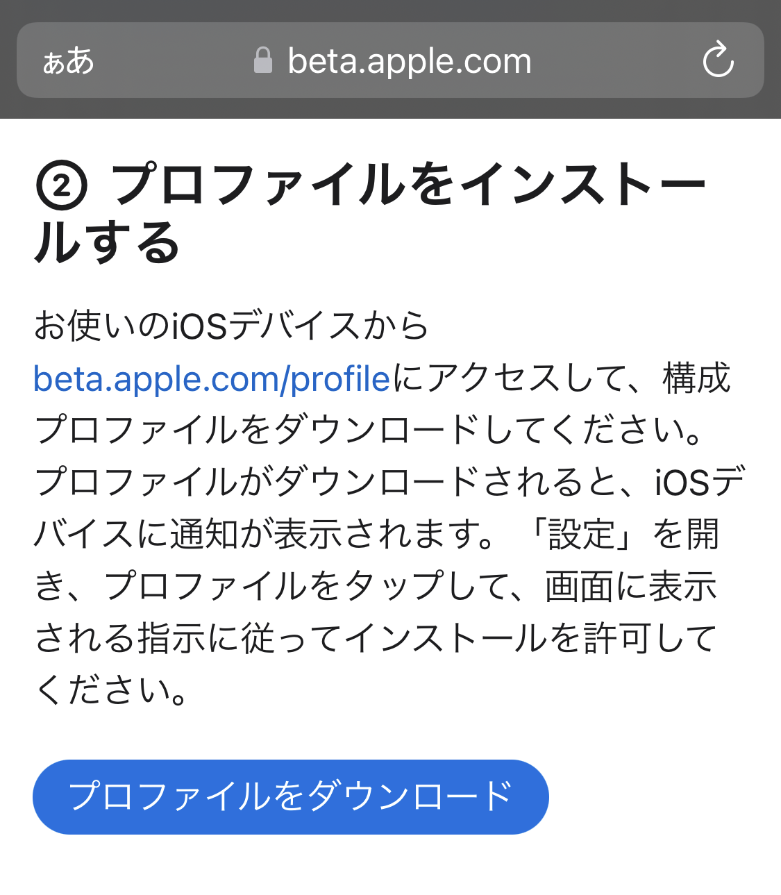 AppleBeta iOS16beta install 02