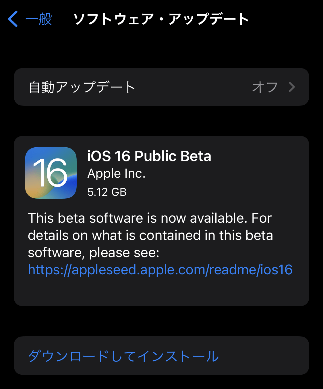 AppleBeta iOS16beta install 04