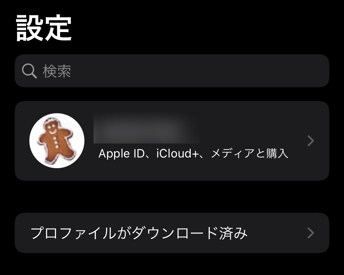 AppleBeta iOS16beta install 05