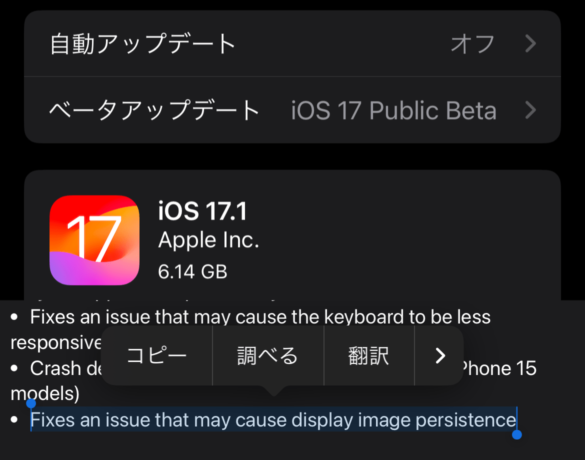 IOS17 1 iPhone15ProDisplay burnissuefix 1
